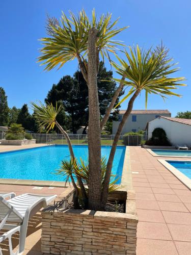 2 palmiers à côté d'une piscine dans l'établissement La Maison des Vacances, à Dolus-d'Oléron