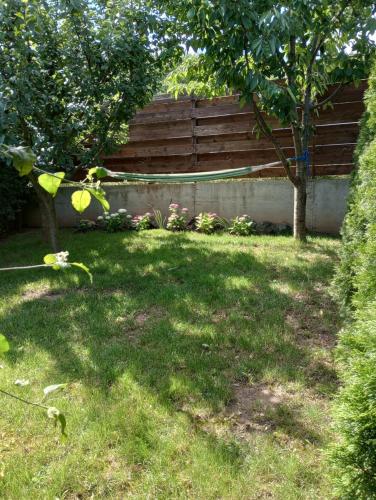 a yard with a wooden fence and a tree at Vila Gosen in Şard