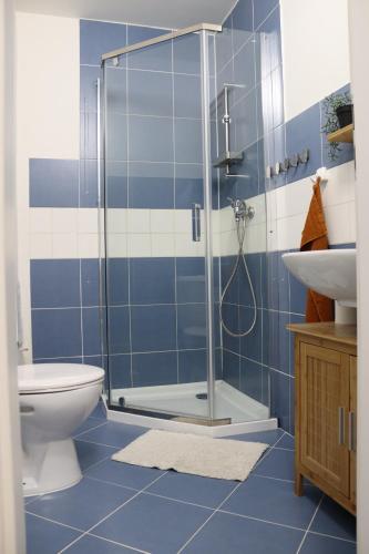 a blue and white bathroom with a shower and a toilet at Ubytování Němčičky in Němčičky