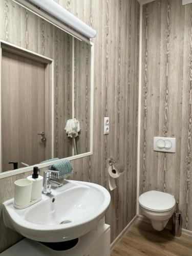 a bathroom with a sink and a toilet at Heviz Gracia Apartment in Hévíz