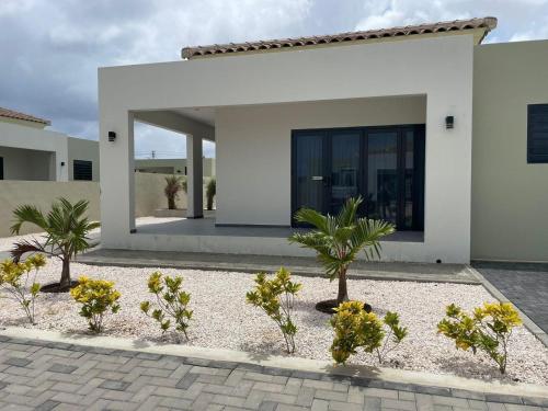 Villa Cuarenta-Y-Tres, Mambo Beach