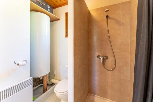 une salle de bain avec toilettes et douche dans l'établissement Gite Serpolet, à Mirabel-aux-Baronnies