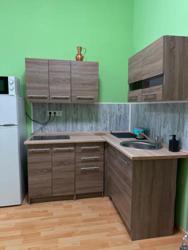 Heviz Gracia Apartment 8380 Hévíz, 7 Erzsébet királyné utca kép - 3