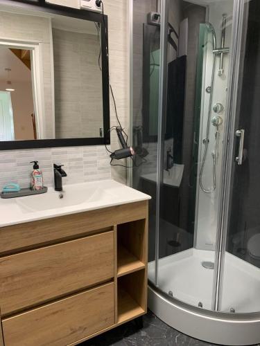 une salle de bain avec un lavabo et une douche dans l'établissement Very Peaceful Larchamp. Dogs Welcome, à Larchamp