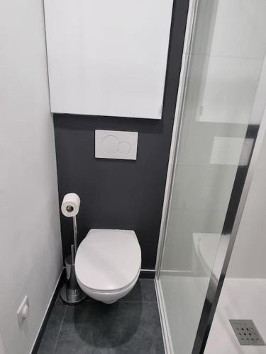 une salle de bain avec des toilettes blanches et une douche dans l'établissement Chaleureux studio, à La Roche-Bernard