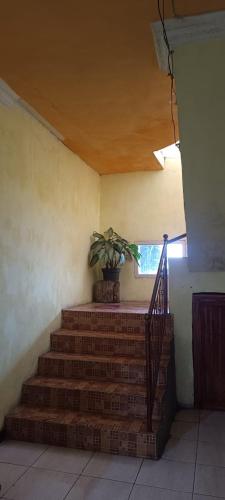 a staircase with a potted plant in a room at Vernando Homestay in Bajawa