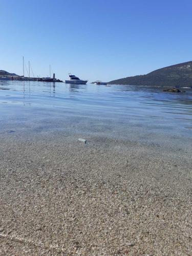 Gallery image of Apartments Jelena in Herceg-Novi
