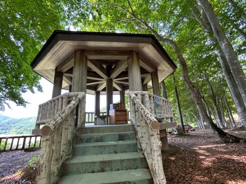 a wooden staircase leading to a gazebo in the woods at Asakusa Sanso in Uonuma