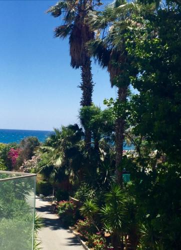 a path with palm trees and the ocean in the background at Modern 1 bedroom sea view beach apartment in Limassol