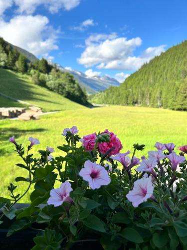 a bouquet of flowers in a field of grass at Augl‘s Hof in Ischgl