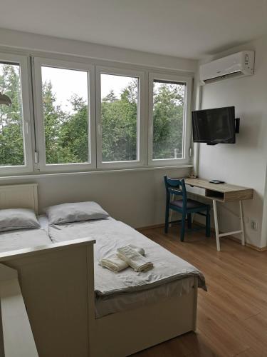 Apartment Luna in Biograd center