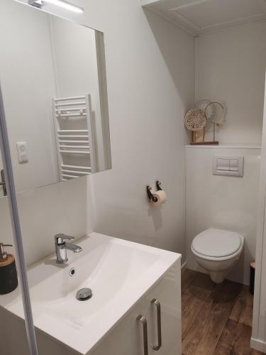 une salle de bain blanche avec un lavabo et des toilettes dans l'établissement Chalet proche aéroport Nantes Atlantique, à Saint-Aignan-Grand-Lieu