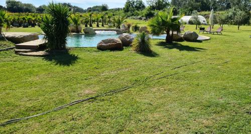 Le Mas des Cerisiers JACUZZI et SAUNA inclus pour tous les logements photo 43