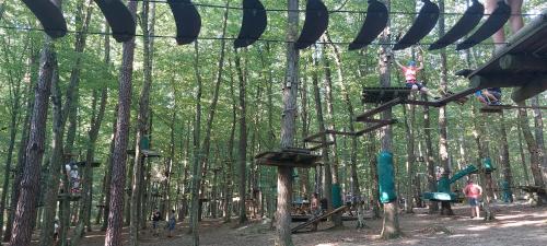 a group of people playing on a zip line in the woods at Apartma Vita in Moravske Toplice