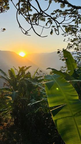 a view of the sunset from a mountain with a plant at hotel y restaurante mirador aires de la sierra, minca in Minca