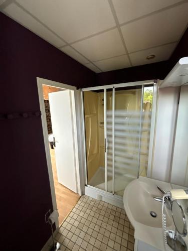 a bathroom with a shower and a toilet and a sink at Logis Hôtel & Restaurant Le Parcey in Parcey
