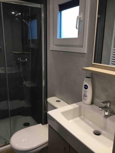a bathroom with a sink and a toilet and a shower at Chalet Buitenhof 45A in Oegstgeest