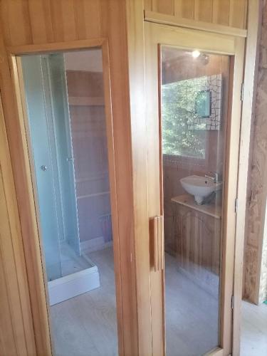 une salle de bain avec une douche, un lavabo et un miroir dans l'établissement Harmonie Spirit 9, à Rauret