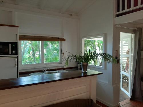 a kitchen with a counter with a sink and two windows at Résidence Cases Mabouya in Le Vauclin