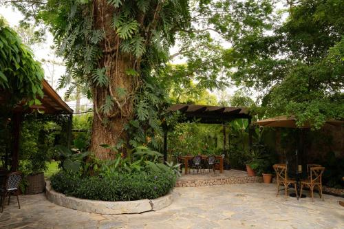 eine Terrasse mit Tischen und Stühlen unter einem Baum in der Unterkunft Caracoral Hotel Boutique in El Valle de Antón