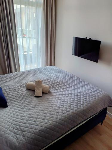 Ένα ή περισσότερα κρεβάτια σε δωμάτιο στο Apartament Grey 52, 3 min od plaży, basen, plac zabaw, darmowy parking!