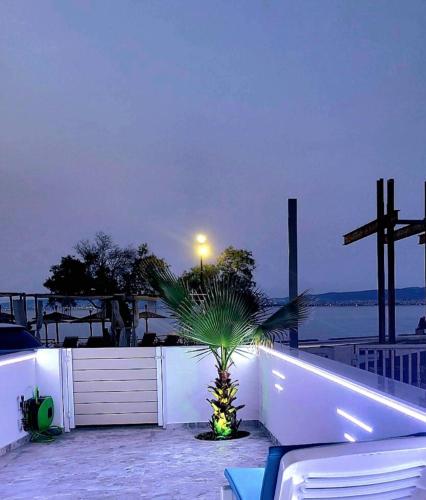 a palm tree sitting next to a white fence at SUN SEA No 7 first line in Perea