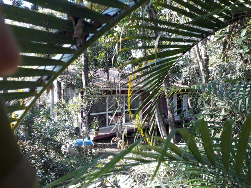Taman di luar Casa Luna próximo ao Animália Park