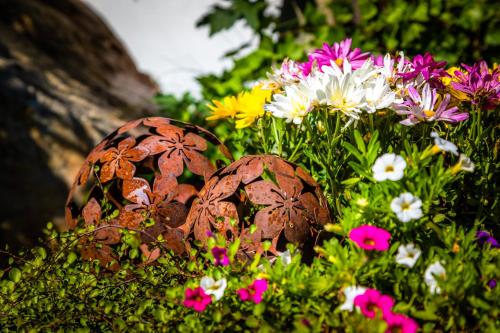 two rocks in a garden of flowers at Apartment Schlickenhof in Hintergöriach