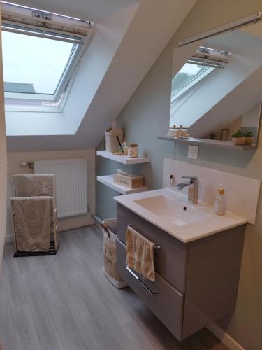 La salle de bains est pourvue d'un lavabo et d'une lucarne. dans l'établissement Chambre chez particulier proche du circuit 3, au Mans