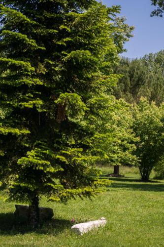 Photo de la galerie de l'établissement Atypique ancienne gare d'Issigeac,piscine privée,pétante,grand terrain, à Issigeac