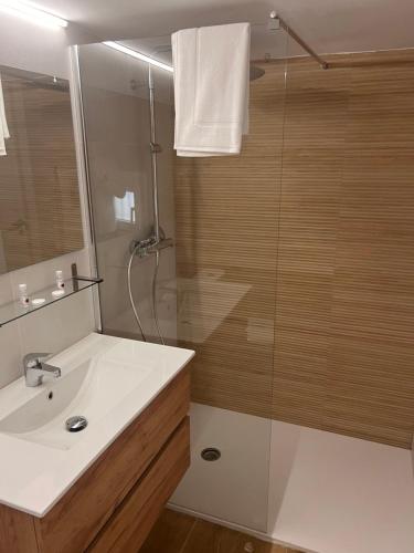 a bathroom with a shower and a white sink at AR Apartamentos Manzanares El Real in Manzanares el Real