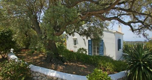 Zahrada ubytování Agios Nikitas Villas