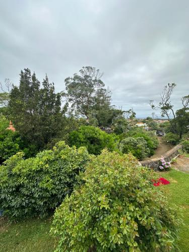 a garden with bushes and trees on a field at Quinta do Sossego in Pico da Pedra