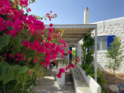 Φωτογραφία από το άλμπουμ του Villa Ambelas - Traditional House στον Αμπελά