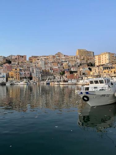 Photo de la galerie de l'établissement ddd, à La Grande Motte