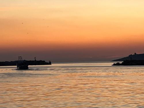 Photo de la galerie de l'établissement ddd, à La Grande Motte