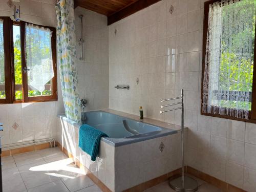 a bathroom with a blue tub in a room at La Charmante in Le Vigan
