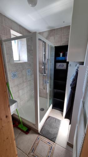 a bathroom with a shower with a glass door at Moja Vila Bled in Bled