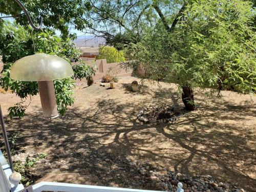 a garden with a tree and a mushroom at Work and Play Close to Sedona in Clarkdale