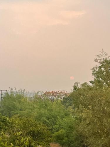 a group of trees with a sky in the background at Samruddhi S3 homestay garden villa or S1 in Nagpur