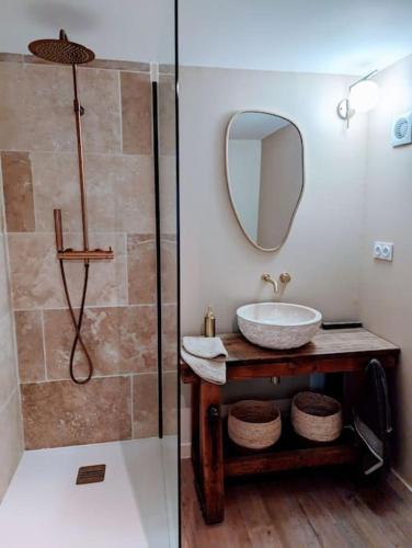 une salle de bain avec un lavabo et une douche avec un miroir dans l'établissement Appartement cosy Fraisses, à Fraisse