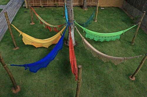 a group of hammocks on the grass in a yard at Pousada Taipa dos Milagres in São Miguel dos Milagres