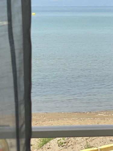 Φυσικό τοπίο κοντά σε αυτό το διαμέρισμα