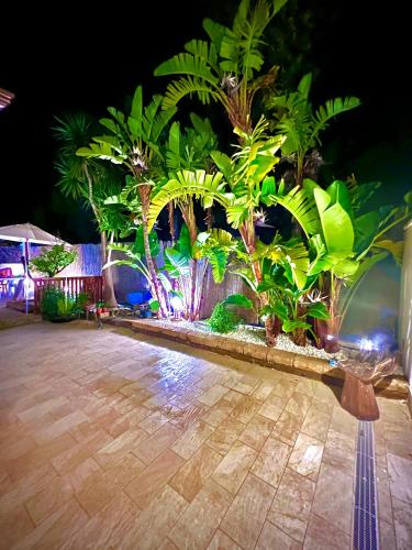 a garden at night with palm trees and lights at Villa Latino in Vieste