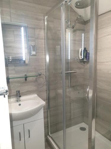 a bathroom with a shower and a sink at The Old Dairy, comfy 1 bedroom apartment with lounge,bathroom and kitchenette near town, pubs and walks in Ringwood