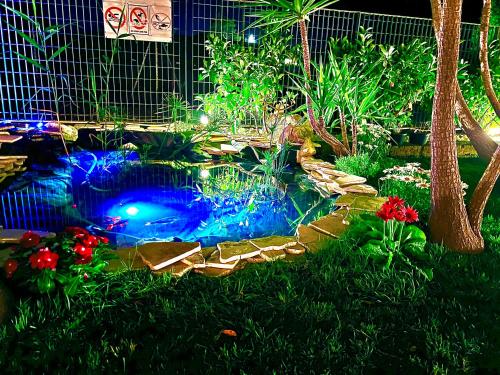 a garden with a pond with lights in the grass at Villa Latino in Vieste