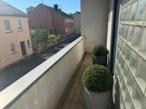 a balcony with two plants on the side of a building at Tolle helle & ruhige 125 qm Whg. nähe Zentrum I-O in Idar-Oberstein