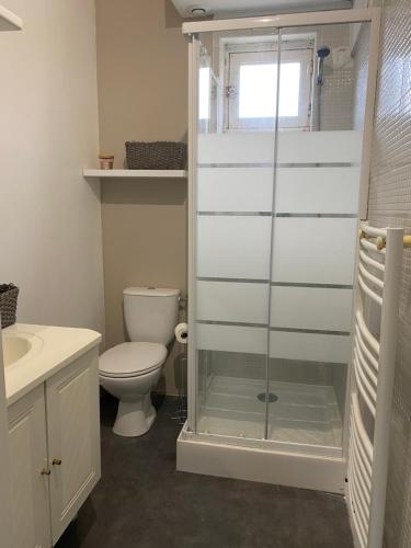 une salle de bain avec toilettes et douche en verre dans l'établissement Les Passe-Pierres, à Merlimont