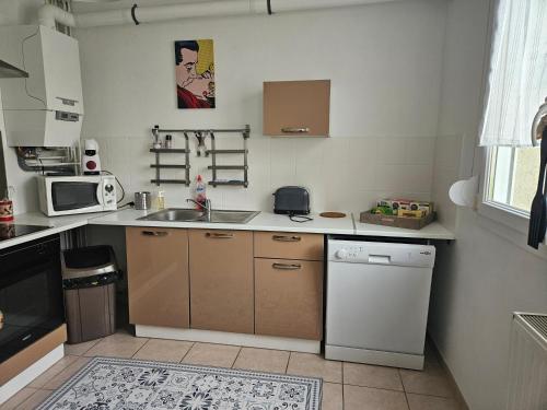 a small kitchen with a sink and a dishwasher at Les Bulles au Féminin in Chigny-les-Roses