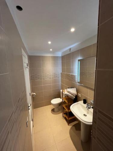 a bathroom with a toilet and a sink at Villa Piedra Pura in Tejina de Isora